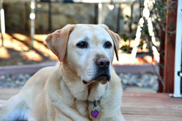 36 Megapixel Photo Full Size