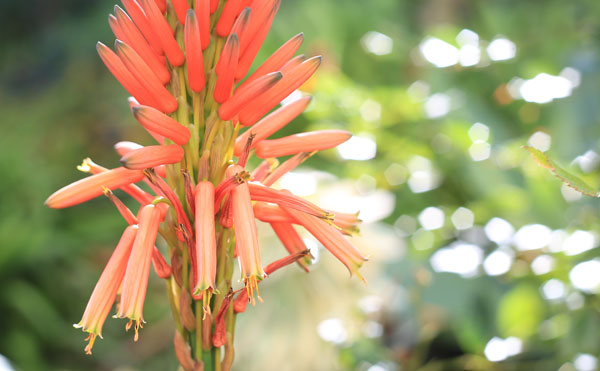 Positive Exposure Compensation