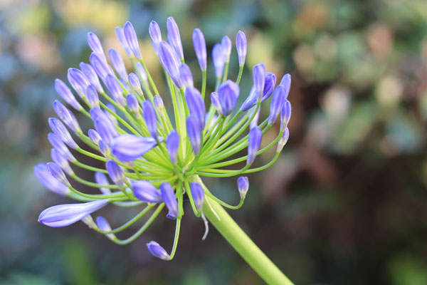 DSLR Exposure Compensation +1