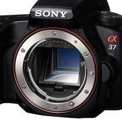 Sony Translucent Mirror